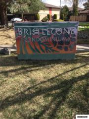 3148 Bristle Branch Dr, Sparks NV  89434-1509 exterior