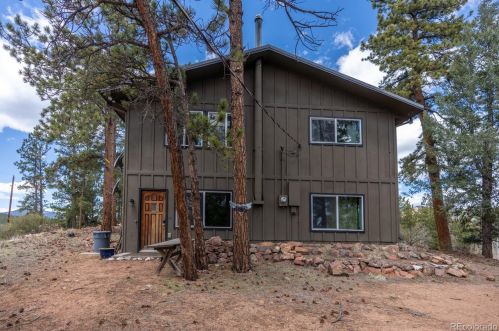 90 Jones Creek Ln, Pine, CO 80470-9675
