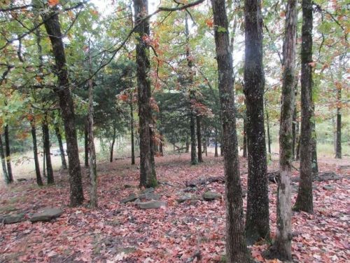 4223 Madison 6330, Wesley, AR 72773-8835