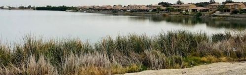 4399 Aplicella Ct, Manteca CA  95337-9100 exterior