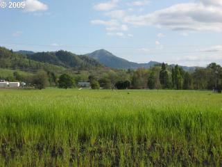 123 Little Pheasant Ln, Roseburg OR  97471 exterior