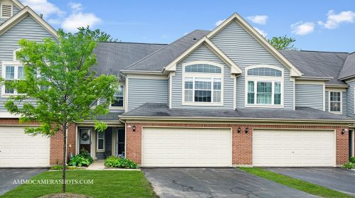 297 Manor Dr, Buffalo Grove, IL 60089-2417