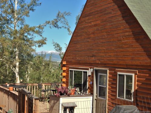 552 Wampum Ln, Fairplay, CO 80456-0421