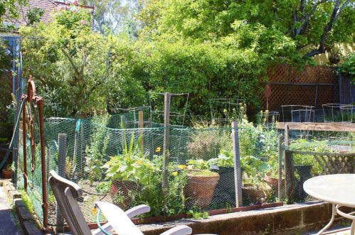 1345 Lincoln Ave, San Rafael, CA 94901-2104