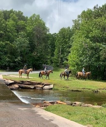 49 Horse Cove Ct, Big Canoe GA  30143-0056 exterior