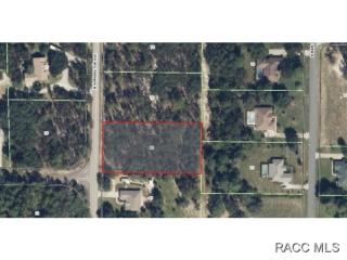 633 Kensington Ave, Lecanto, FL 34461-8153