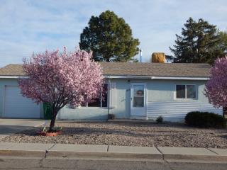 508 15th St, Farmington, NM 87401-6301