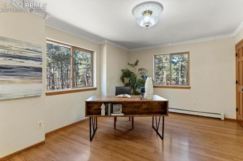 17415 Charter Pines Dr, Woodmoor CO  80132-8468 exterior