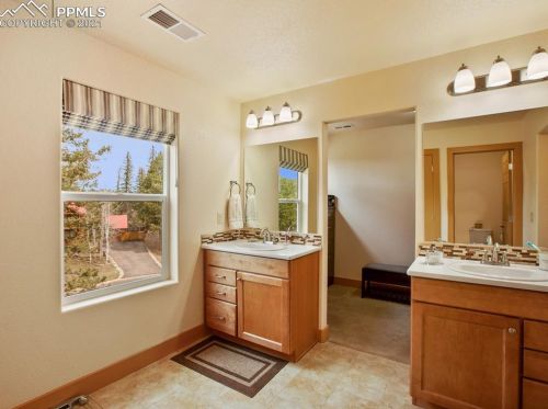 331 Panther Ct, Woodland Park CO exterior