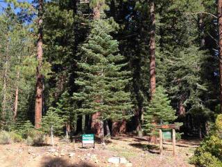 12708 Granite Dr, Truckee, CA 96161-2844