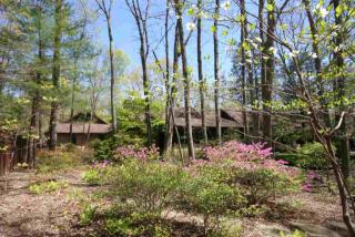 35 Wild Ginger Ln, Wintergreen, VA 22958-8001