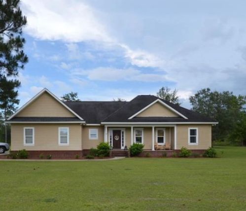 407 Mount Pleasant Rd, Hortense, GA 31543-8069