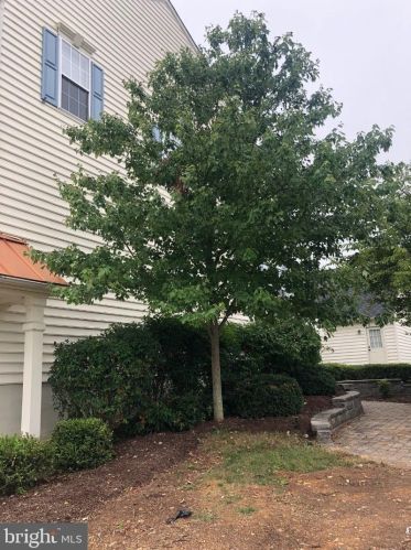 10 Davis St, Charles Town WV  25414-4478 exterior