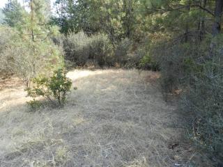 12726 Watergap Rd, Williams, OR