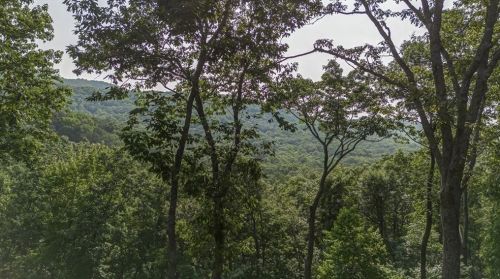 1458 Valley View Dr, Big Canoe GA  exterior