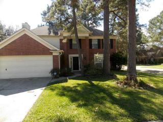 8931 Driftstone Dr, Spring TX  77379-6376 exterior