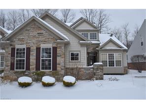 7830 Rockdove Ln, Concord Township OH  44077-8972 exterior