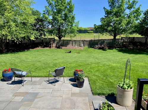 3219 Mistflower Ln, Naperville, IL 60564-4210