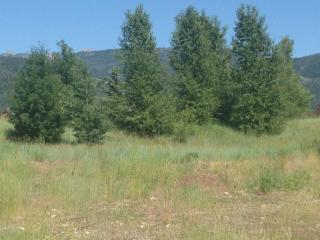 43 Scott Dr, Fox Creek ID  83455-5539 exterior