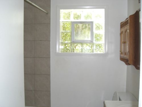 912 State St, Lemont IL  60439-4666 exterior