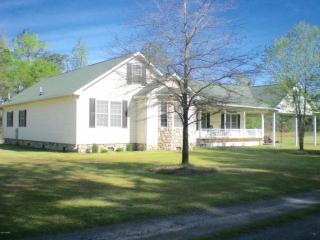 163 Joy Ln, Atkinson, NC 28421-9263