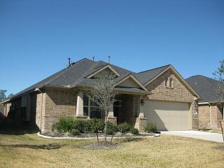 31711 Breezy Retreat Ct, Spring TX  77386-1583 exterior
