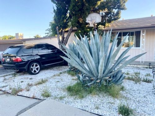 8171 Mammoth Ave, Van Nuys, CA 91402-5428