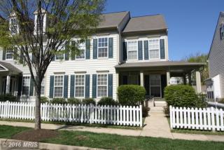 20406 Tilberg St, Ashburn, VA 20147-3699