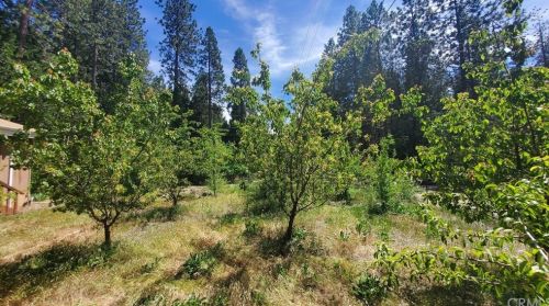 6555 Boulder Dr, Nimshew, CA 95954-9358