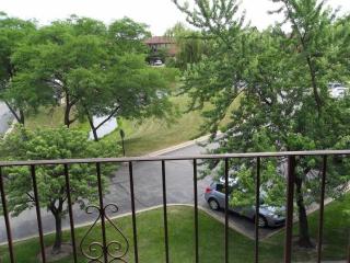 738 Briar Hill Ln, Addison IL  60101-2230 exterior