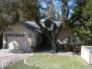 1424 Sandalwood Dr, Vallecito, CA 95247-9460