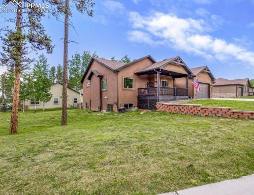 1171 Ptarmigan Dr, Woodland Park CO  80863-8005 exterior