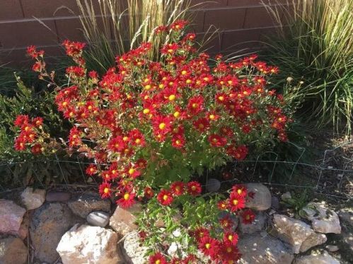 1783 3475, Cedar City UT 84721-8636 exterior