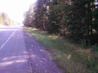 1 Main St, Parlin Pond Twp, ME 04945-5300