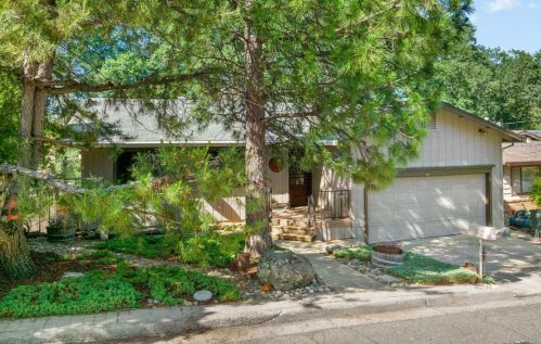 831 Blue Bell Ct, Swansboro Country, CA 95667-6401