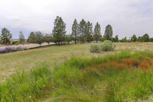 23942 Roxbury Pl, Denver CO  80016-7545 exterior