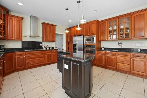 12465 Thornberry Dr, Lemont IL  60439-4616 exterior