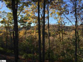 35 White Fox Trl, Marietta, SC 29661-5199