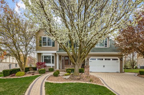 241 Grant Ave, Frankfort, IL 60423-1261