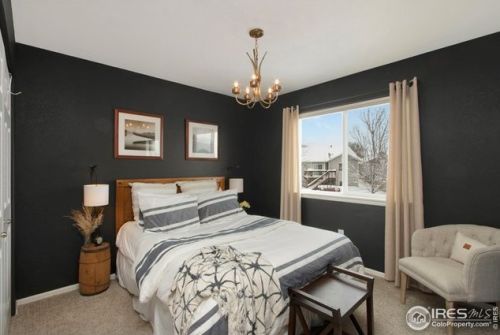 206 Windflower Way, Fort Collins CO  80550-6233 exterior