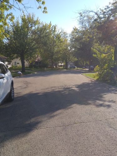 152 Larchmont Way, Lemont IL  60440-2669 exterior