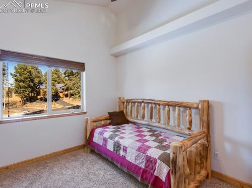 341 Panther Ct, Woodland Park CO exterior