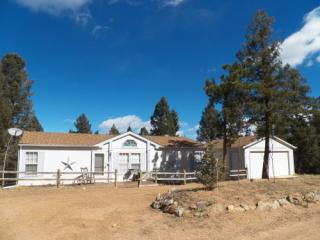 133 Donzi Trl, Twin Rock, CO 80816-9226