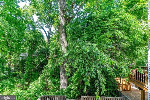 10836 Douglas Ave, Silver Spring MD 20902-5007 exterior