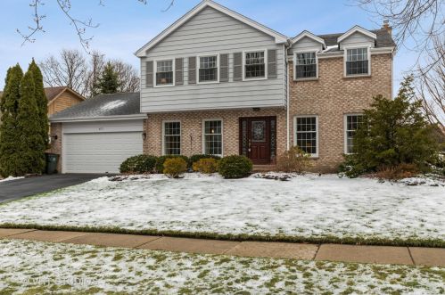 671 Dorset Ave, Palatine, IL 60067-6741