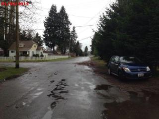 1019 Alder St, Waunch Prairie, WA 98531-1012