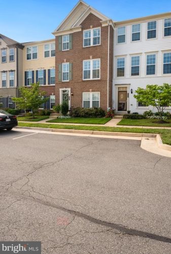 491 Flameflower Ter, Leesburg, VA 20175-5433