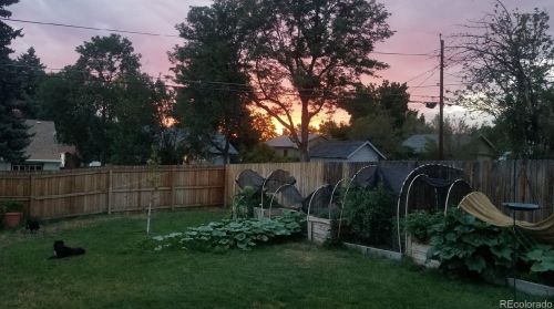 3175 Pennsylvania St, Englewood CO 80113-2717 exterior