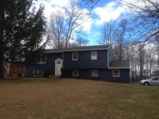 11 Dennis Rd, Bloomsbury, NJ 08804-2002