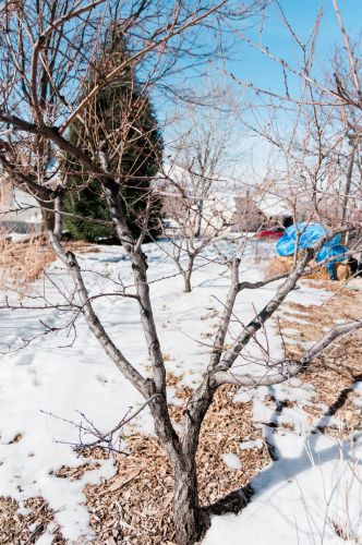 1080 Grandview Dr, Providence UT 84332-9317 exterior